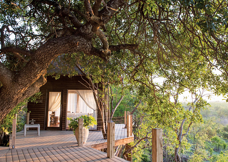 Photo of Leopard Hills Lodge