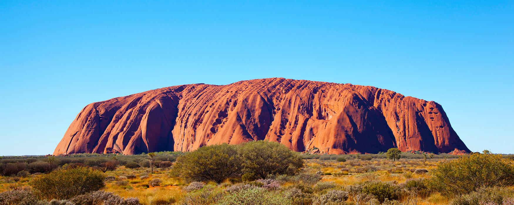 Photo of Australia's Reef, Rock and Rainforest