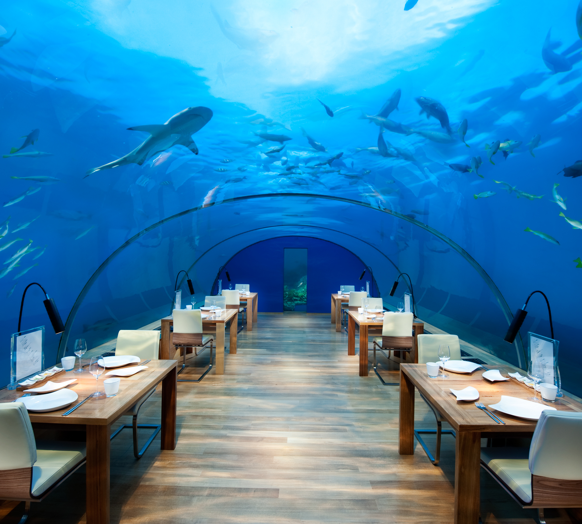 Photo of Waldorf Astoria Ras Al Khaimah and Conrad Maldives Rangali Island