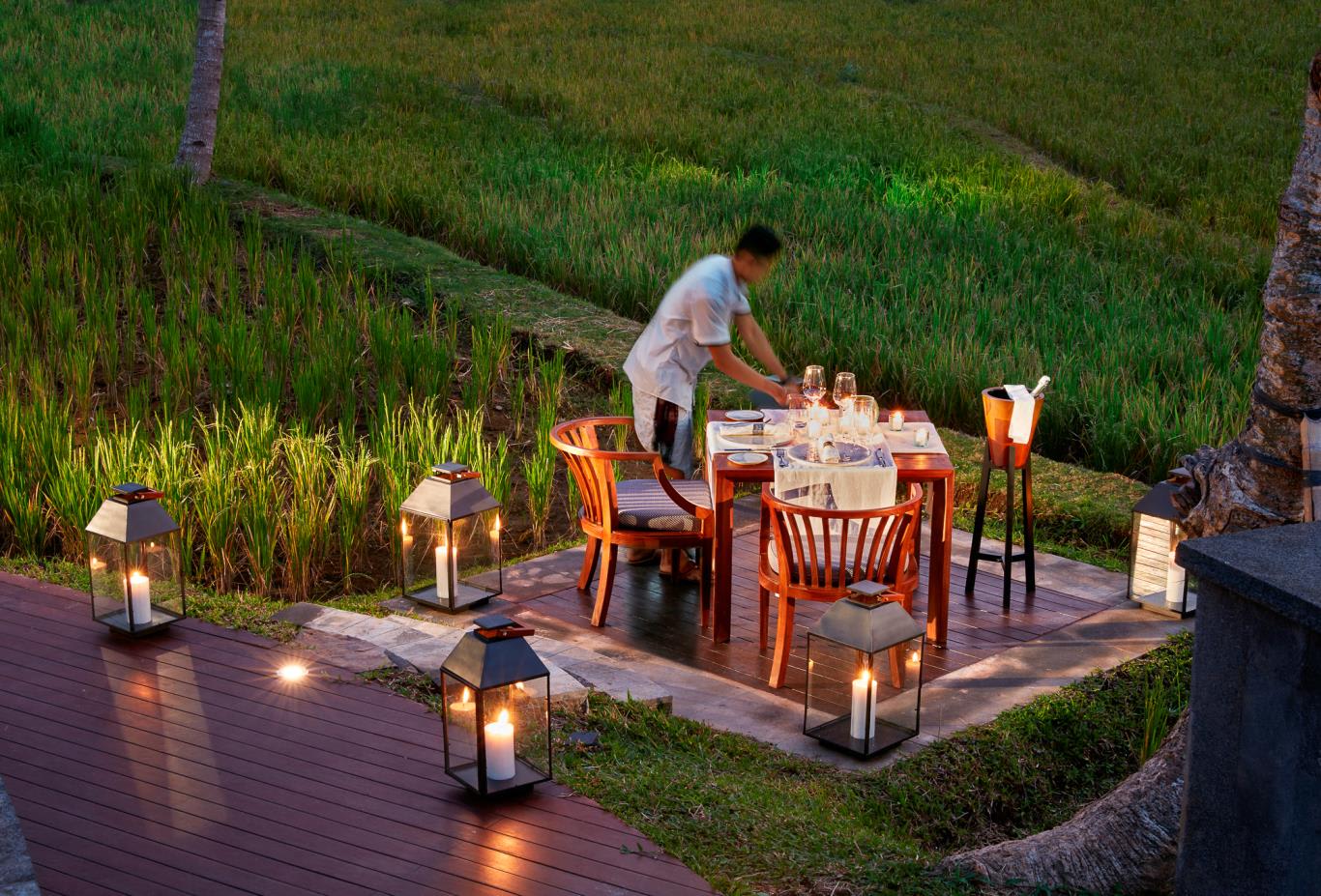 Dining Beyond by Rice Field