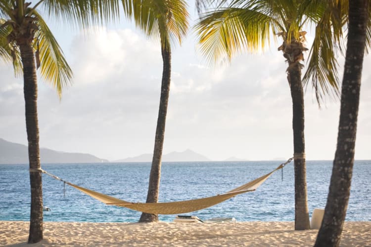 Beach Hammock