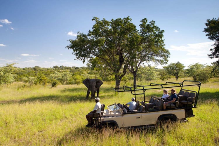 Ulusaba Game Drive