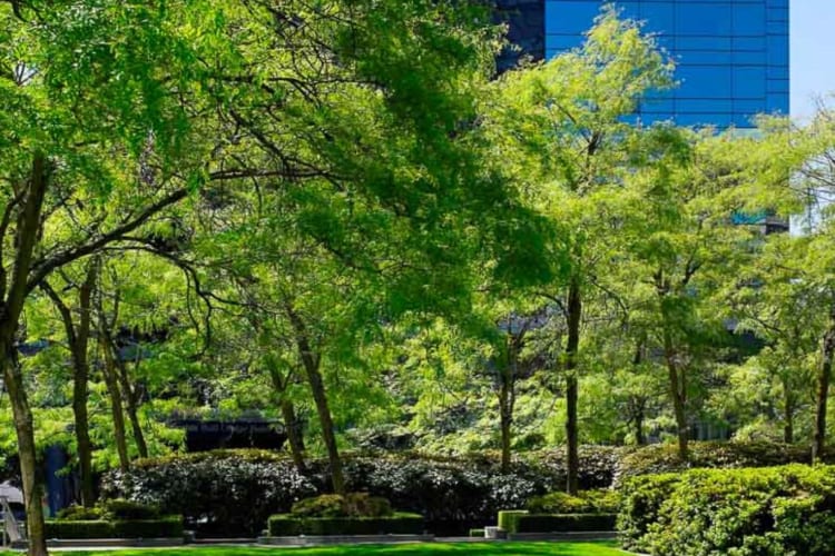 Gardens