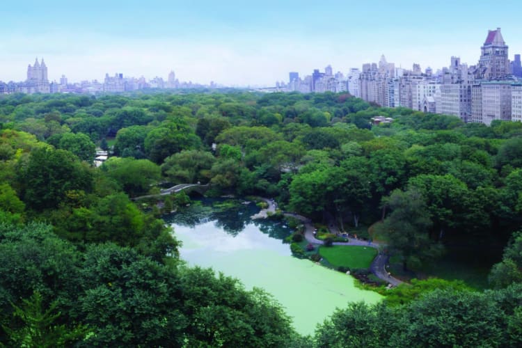 Central Park