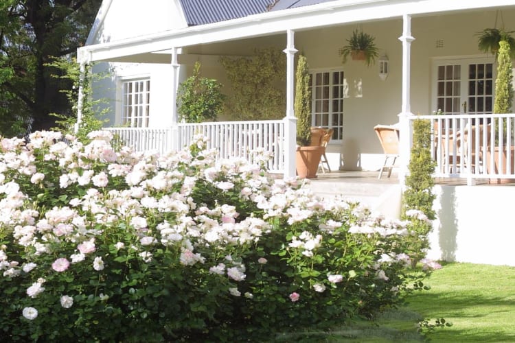 Rose Garden