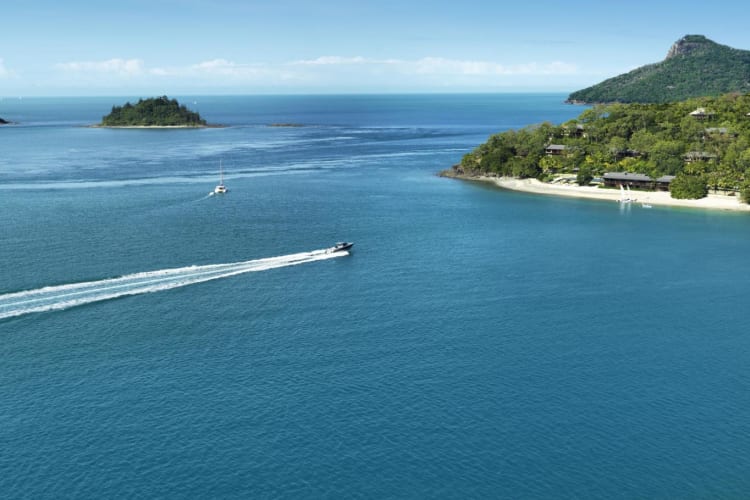 qualia