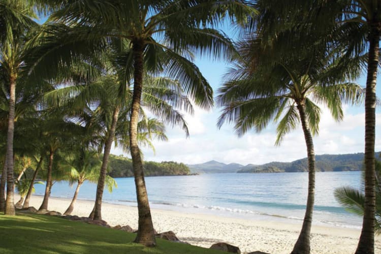 Catseye Beach