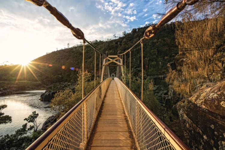 Bridge