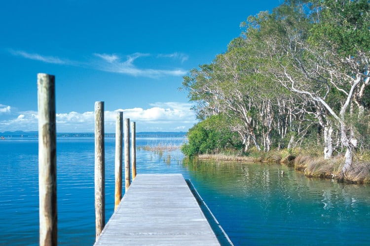 Lake Cootharaba Noosa Wetlands