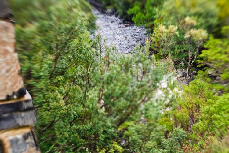 Spa Creek