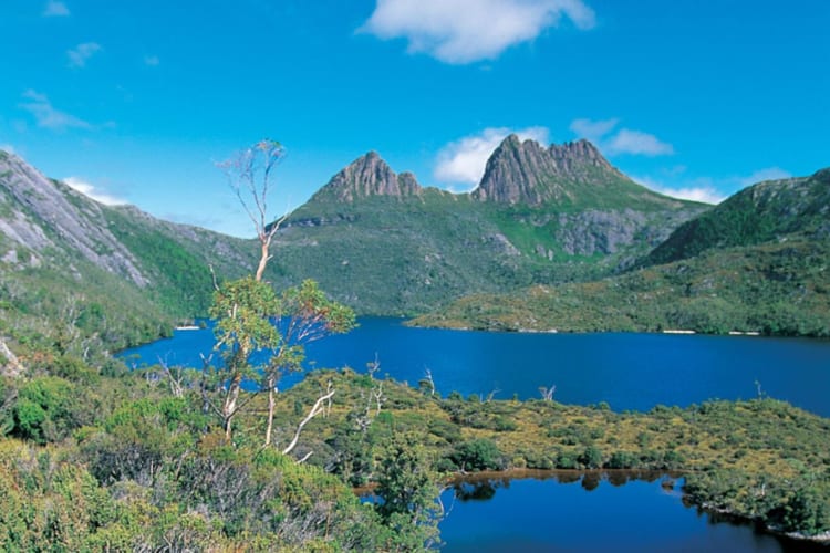 Walks Cradle Mountain