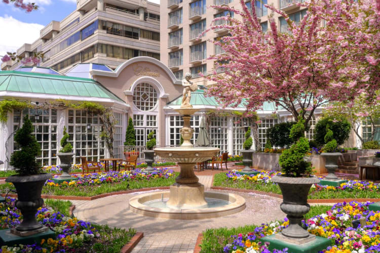 Courtyard