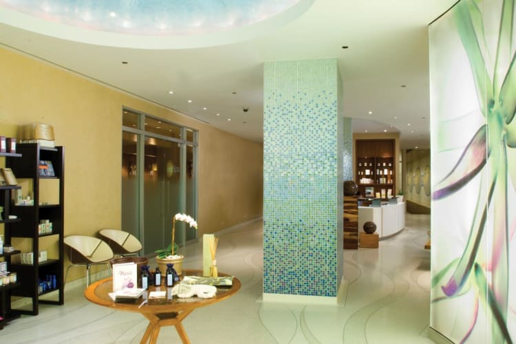 MySpa Reception