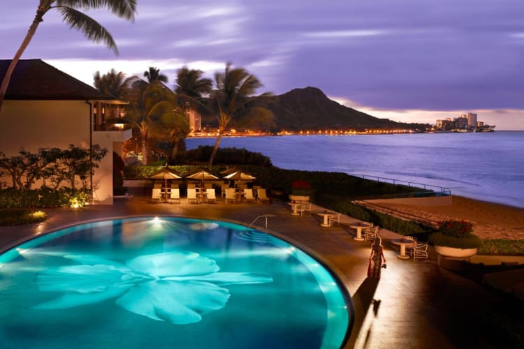 Orchid Pool