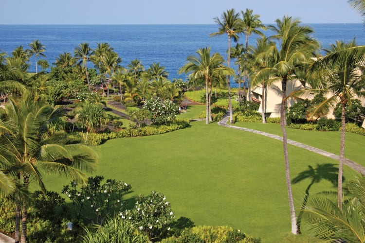 Lawn