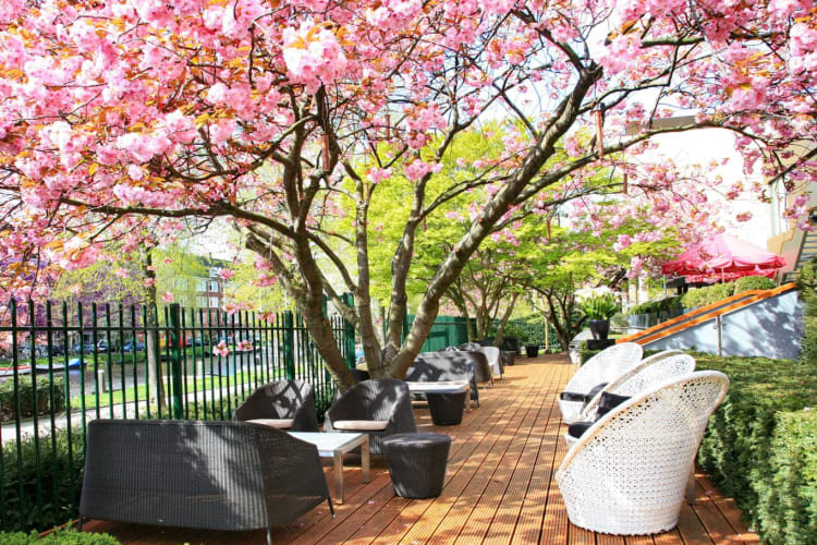 Serre Restaurant Terrace