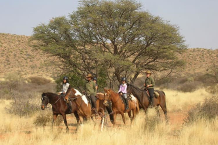 Horse riding