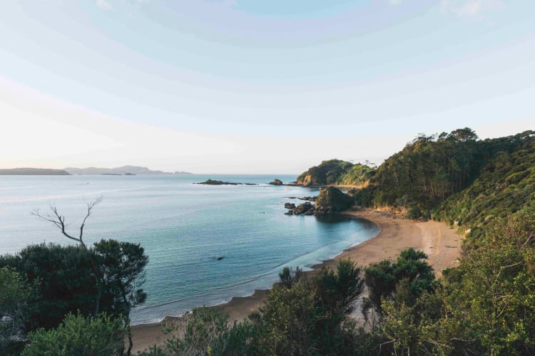 Cove