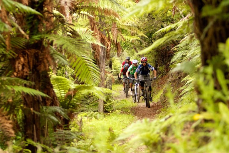 Cycling