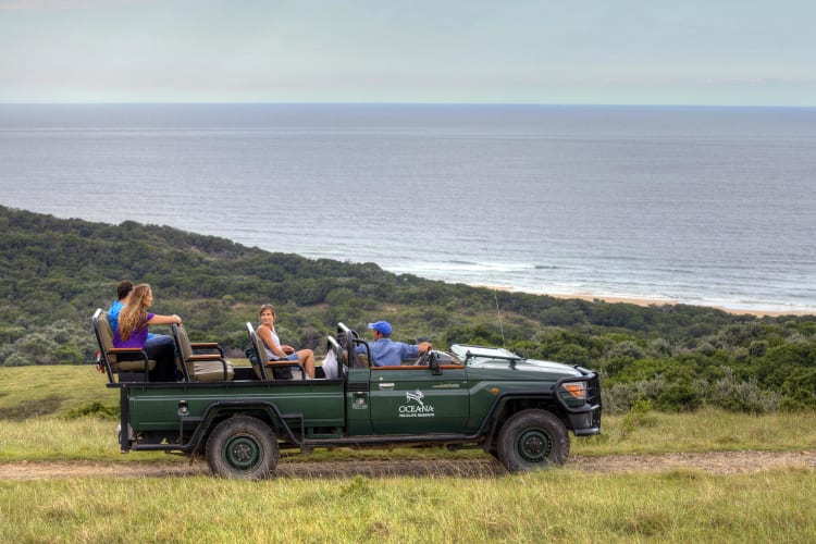 Game Drive