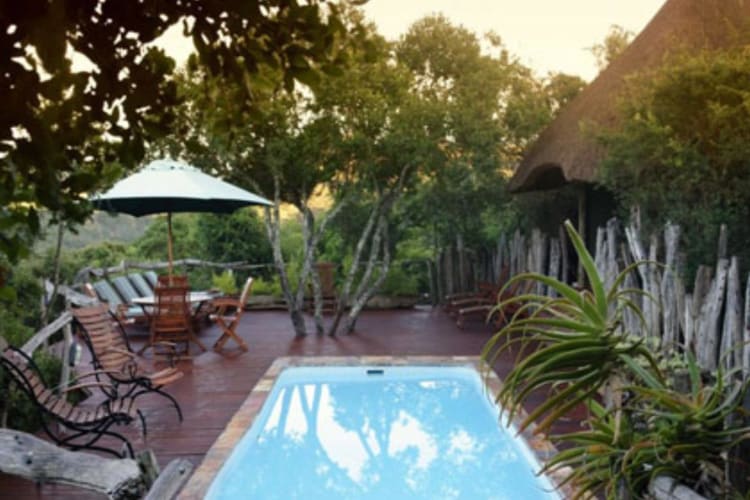 Tree Top Pool