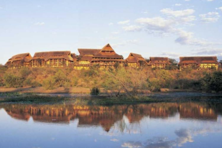 View From The Waterhole
