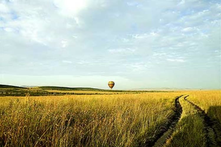 Ballooning