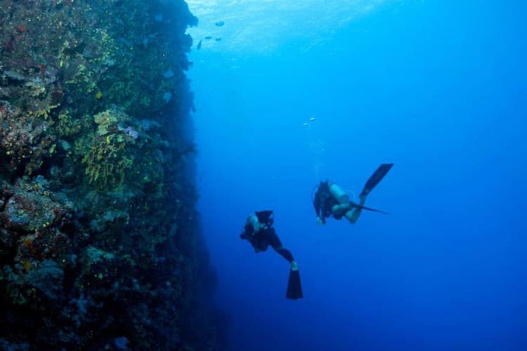 Diving