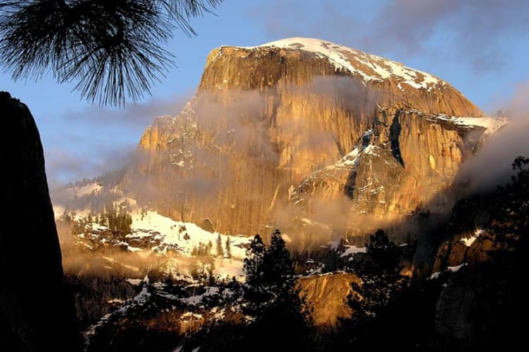 Half Dome View