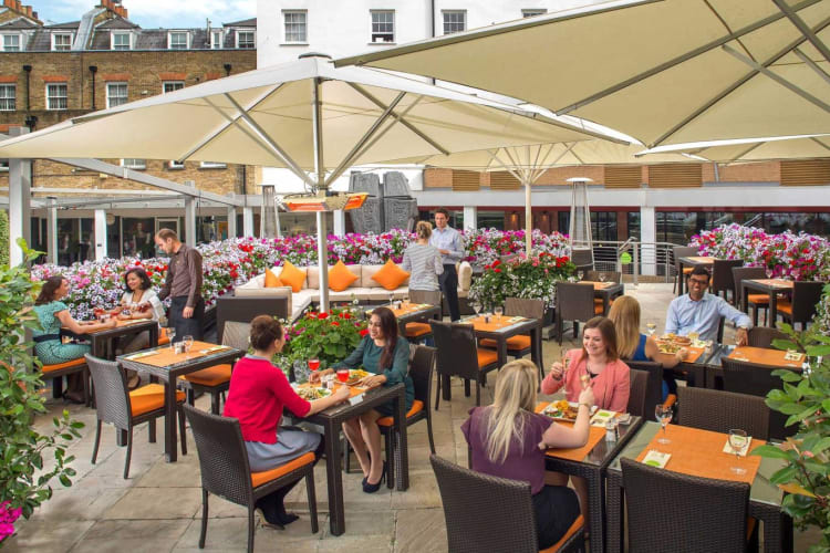 The Terrace