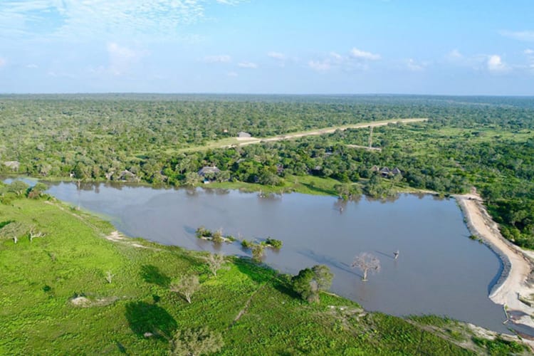 Aerial view