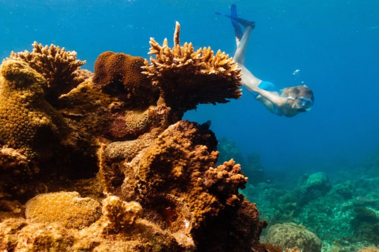 Diving in Con Dao