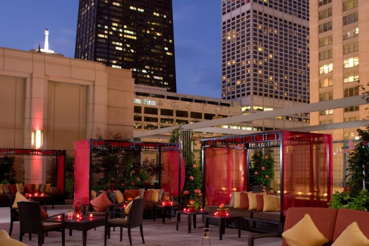 The Terrace