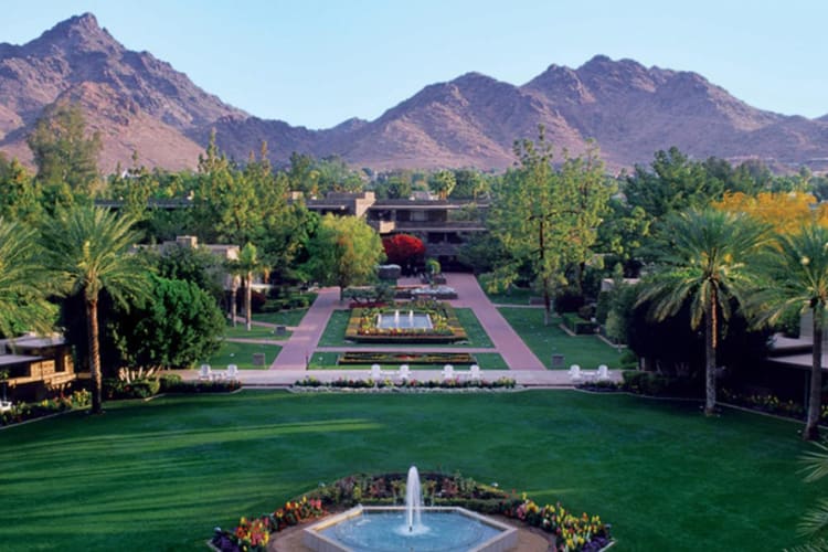 Peak Lawn