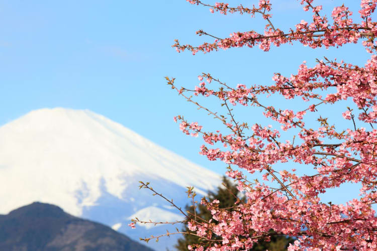 Japan