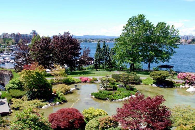 Japanese Garden