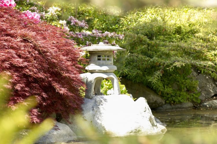 Japanese Lantern