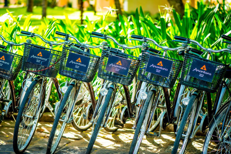 Bicycles-nws