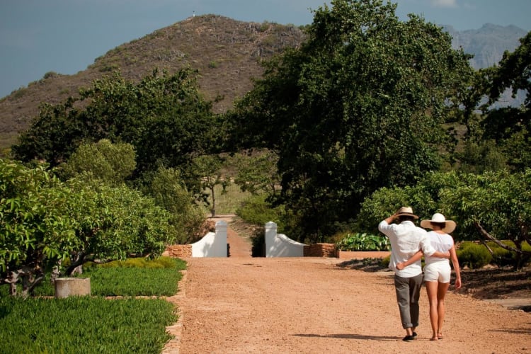 Path To Babylonstoren