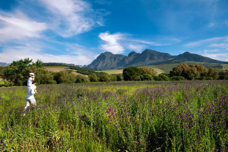 Surrounding countryside