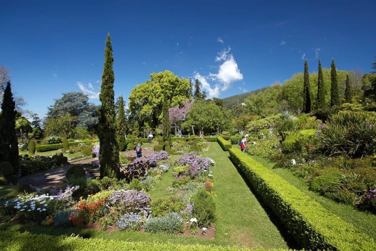Grounds