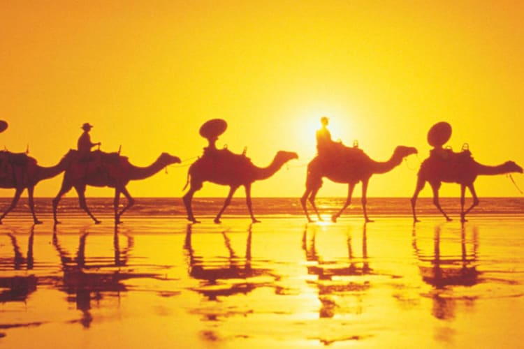 Tours experiences