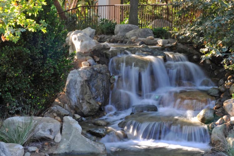 Water feature