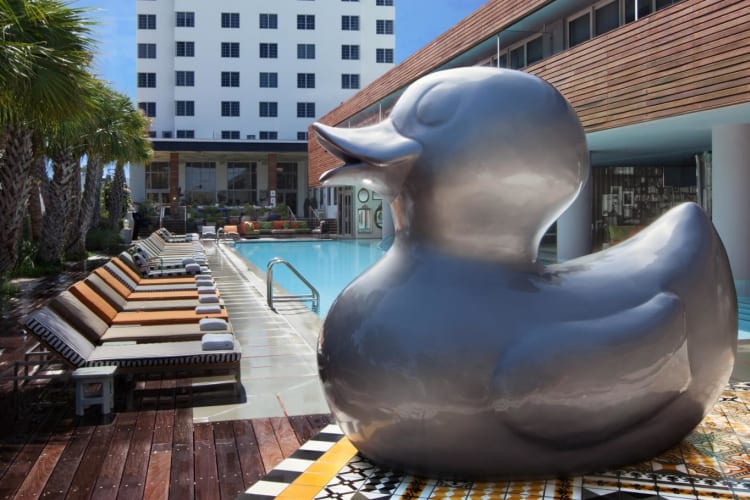 Pool-duck