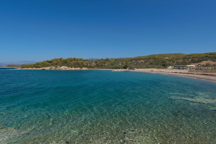 Beach-Club-Beachfront