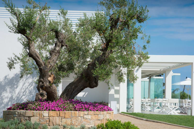 Gardens