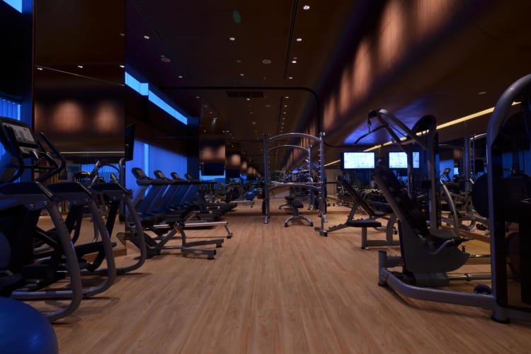 Fitness