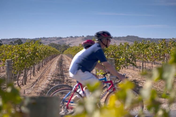 Cycling