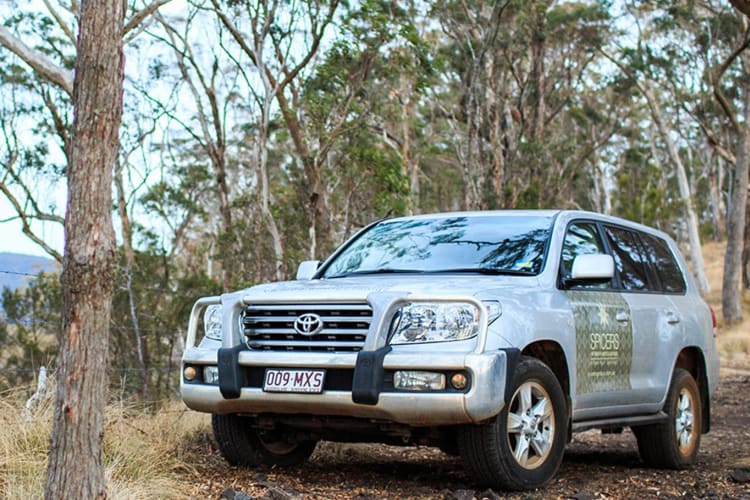 4WD
