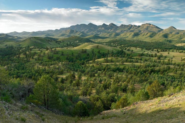Wilpena-View